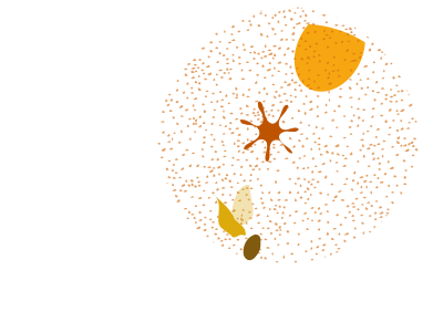 Lemon orange fruits clipart