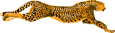 Leopard-cheetah clipart