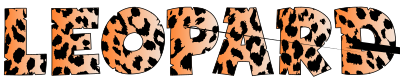 Leopard Typography 2 clipart