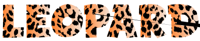 Leopard Typography 2 No Stroke With Drop Shadow clipart
