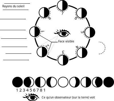 Les phases de la lune - Moon phases clipart