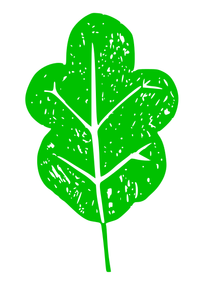 Lettuce clipart