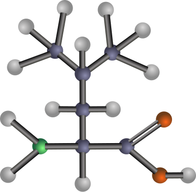 Leucine (amino acid) clipart