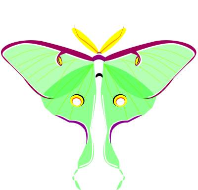 Luna Moth clipart