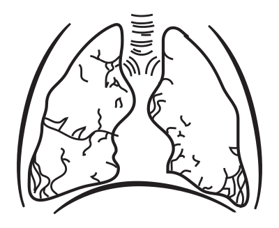 Lungs without Coloring clipart