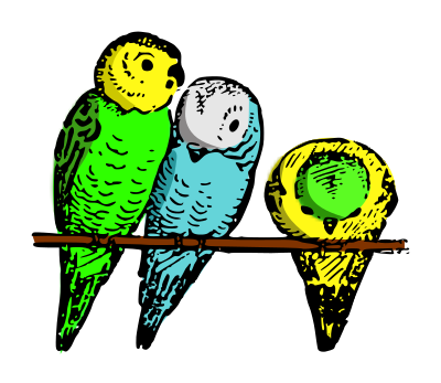 Lutz - parakeets colored clipart