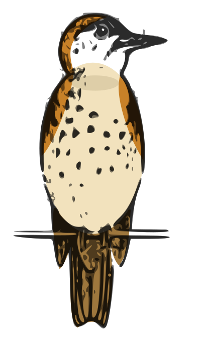 Lutz - thrush colored clipart