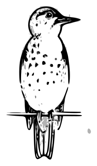 Lutz - thrush outline clipart