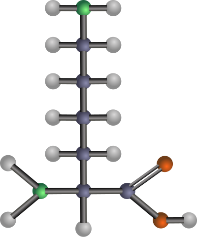 Lysine (amino acid) clipart