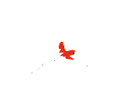 Macaw 2 clipart