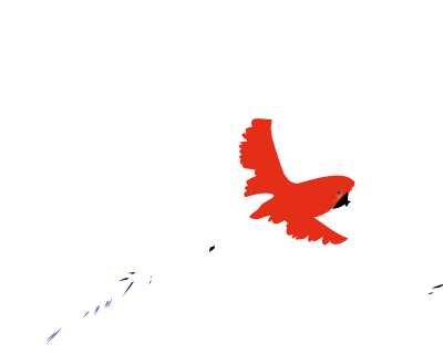 Macaw clipart