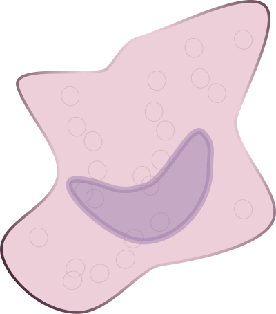 Macrophage clipart