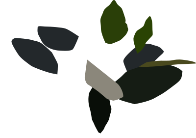 Magnolia flower flor clipart