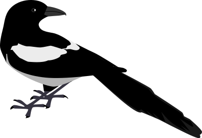 Magpie clipart