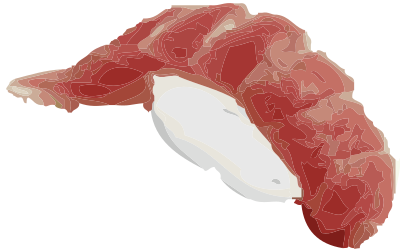 Maguro nigiri sushi clipart