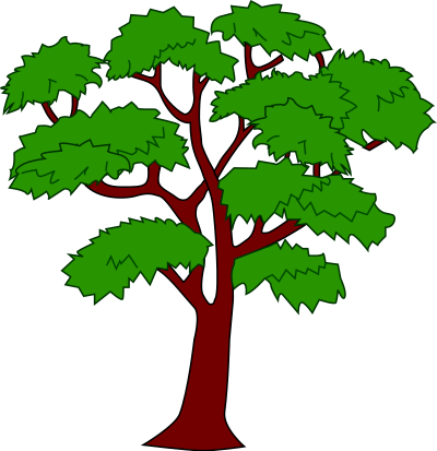 Mahogany tree clipart