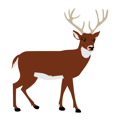Male Deer clipart