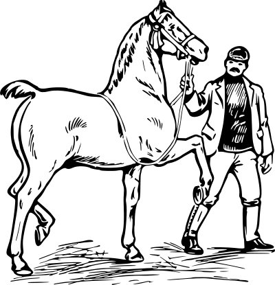 Man and horse clipart