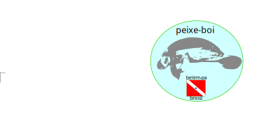 Manatee amazon(peixe-boi) clipart