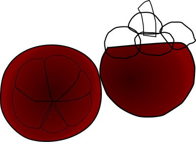 Mangosteen Thai Fruit clipart