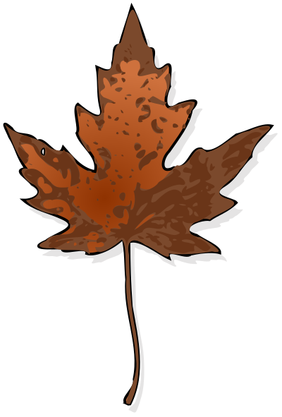 Maple Leaf clipart