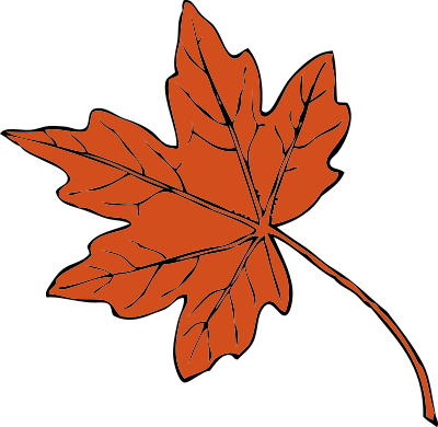 Maple leaf clipart