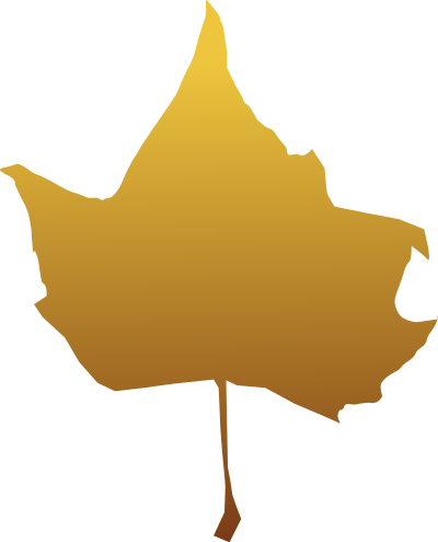 Maple leaf clipart