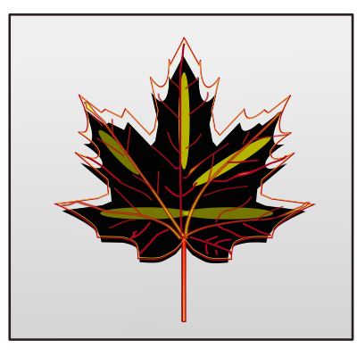 Maple leaf clipart