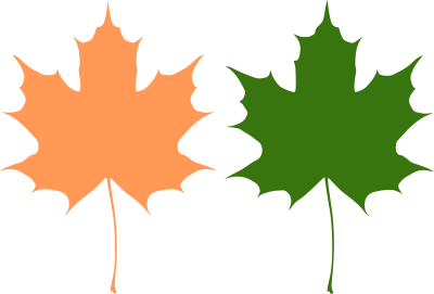 Maple leaves clipart