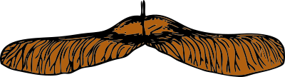 Maple seed clipart