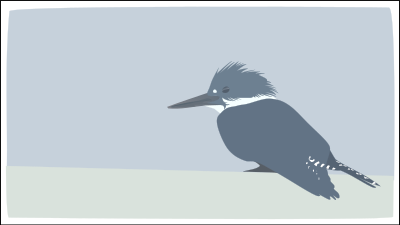 Martin Pescador clipart