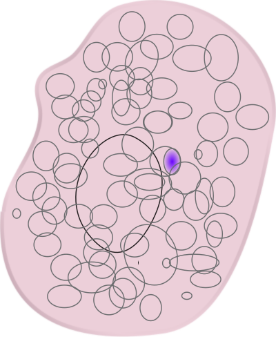 Mast-cell clipart