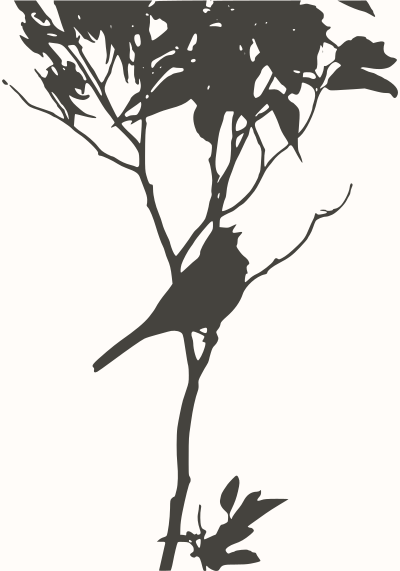 Mating call clipart