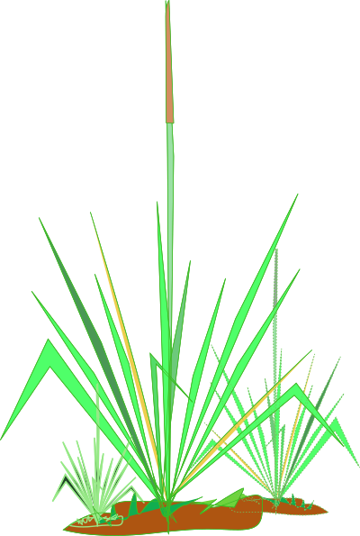 Matinho de jardim clipart