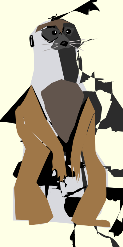 Meerkat 01 clipart