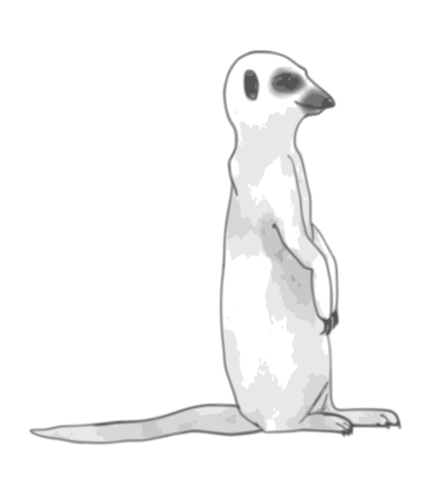 Meerkat clipart