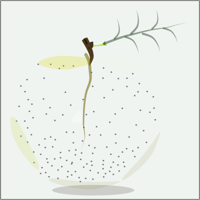 Mela clipart