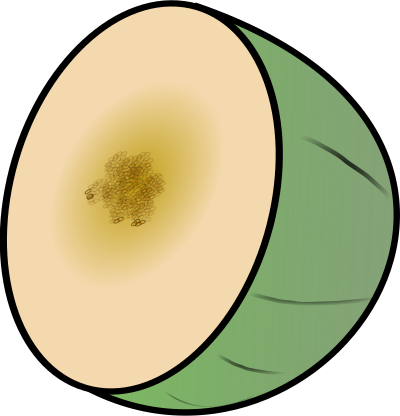 Melon clipart