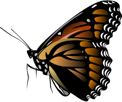 Monarch Butterfly clipart