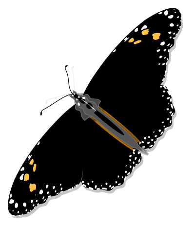 Monarch Butterfly clipart