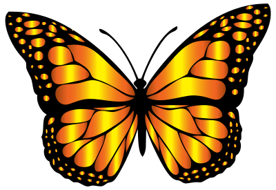 Monarch Butterfly 2 Variation 6 clipart
