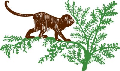 Monkey on a Tree clipart