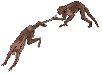 Monkeys playing clipart