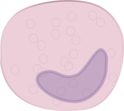 Monocyte clipart