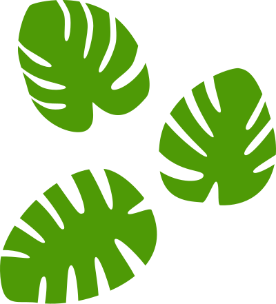 Monstera leaves clipart