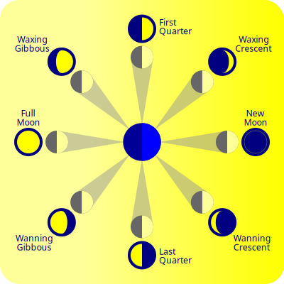 Moon Phases clipart