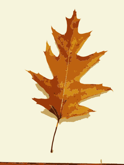 More fall tree leaves 1 clipart