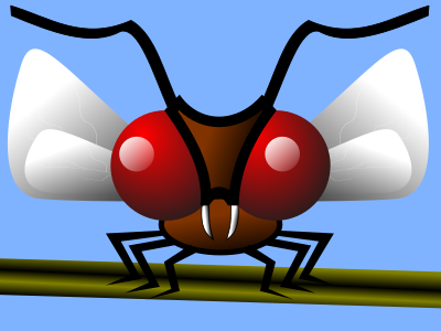 Mosca clipart