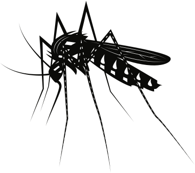 Mosquito (#1) clipart