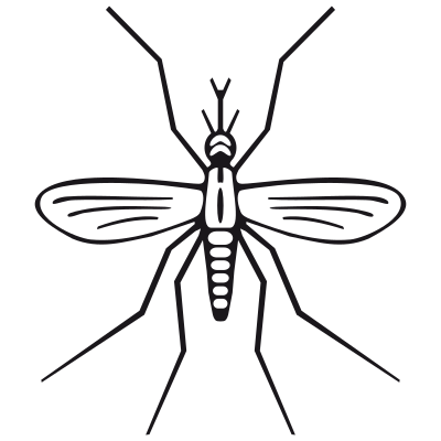 Mosquito clipart